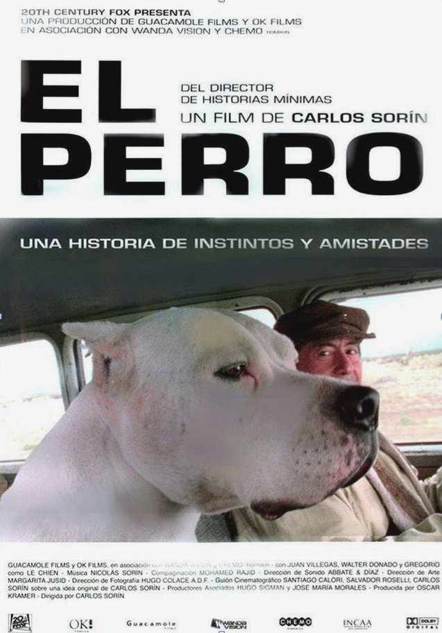 educación paseos caninos